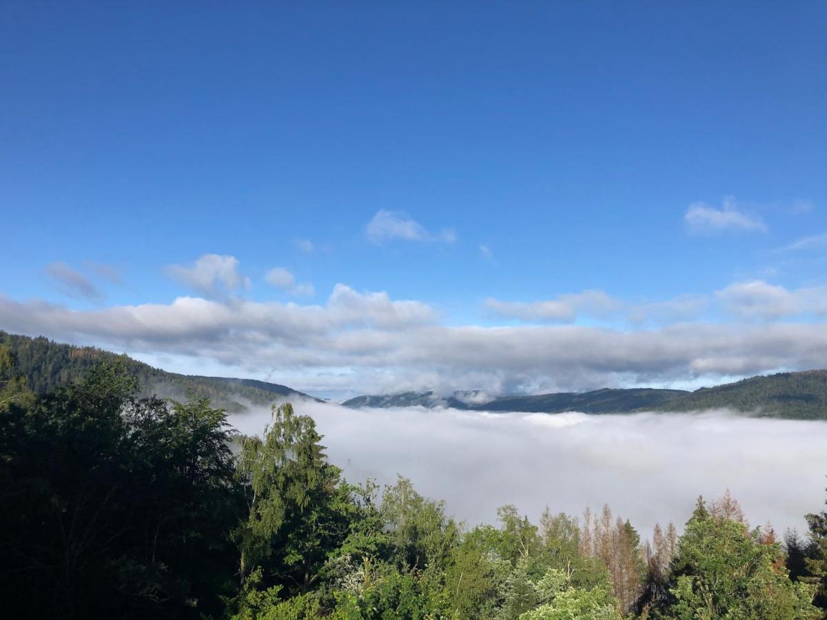Le gîte cozy de Bouvacôte avec vue panoramique Le Tholy Extérieur photo
