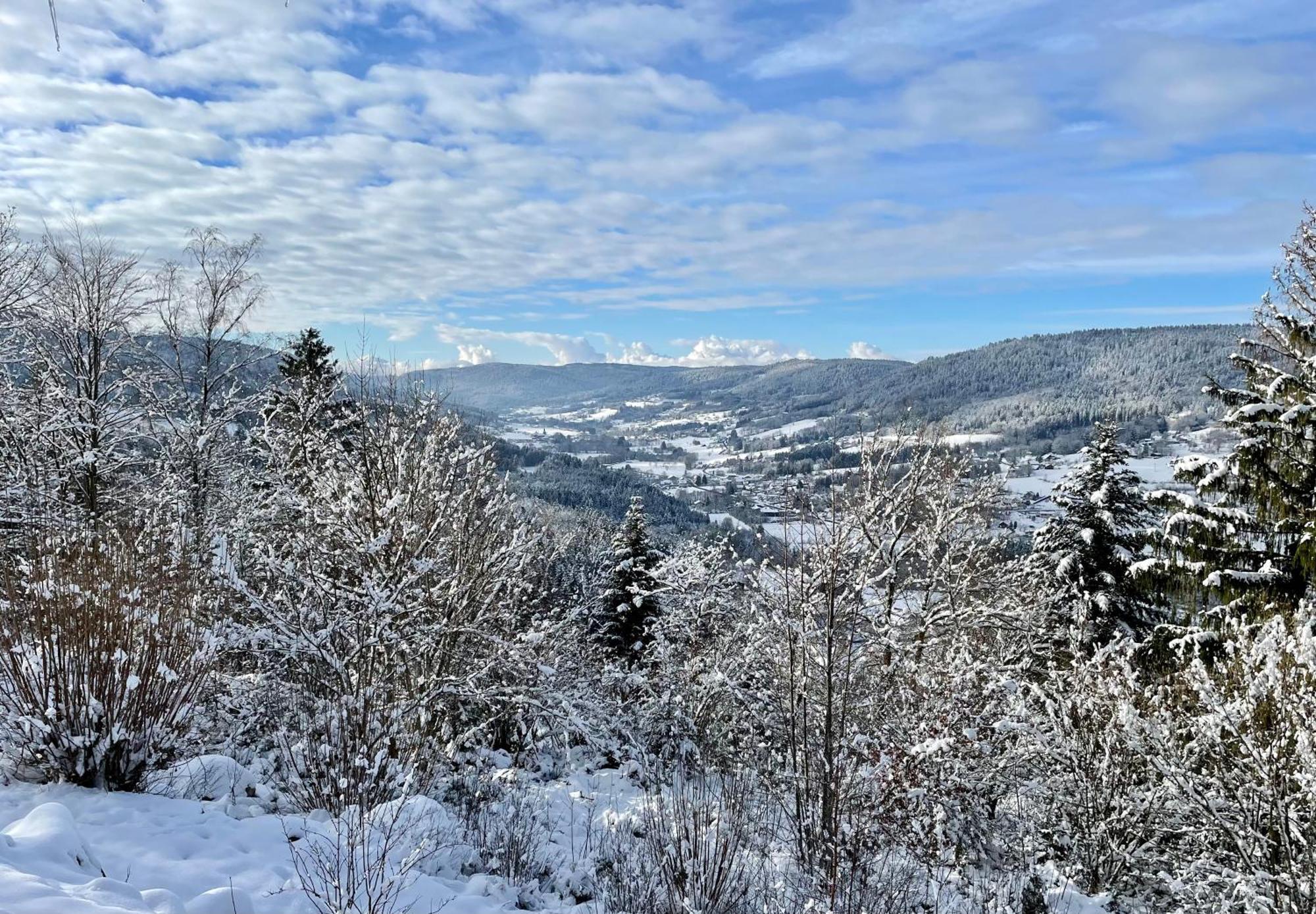Le gîte cozy de Bouvacôte avec vue panoramique Le Tholy Extérieur photo