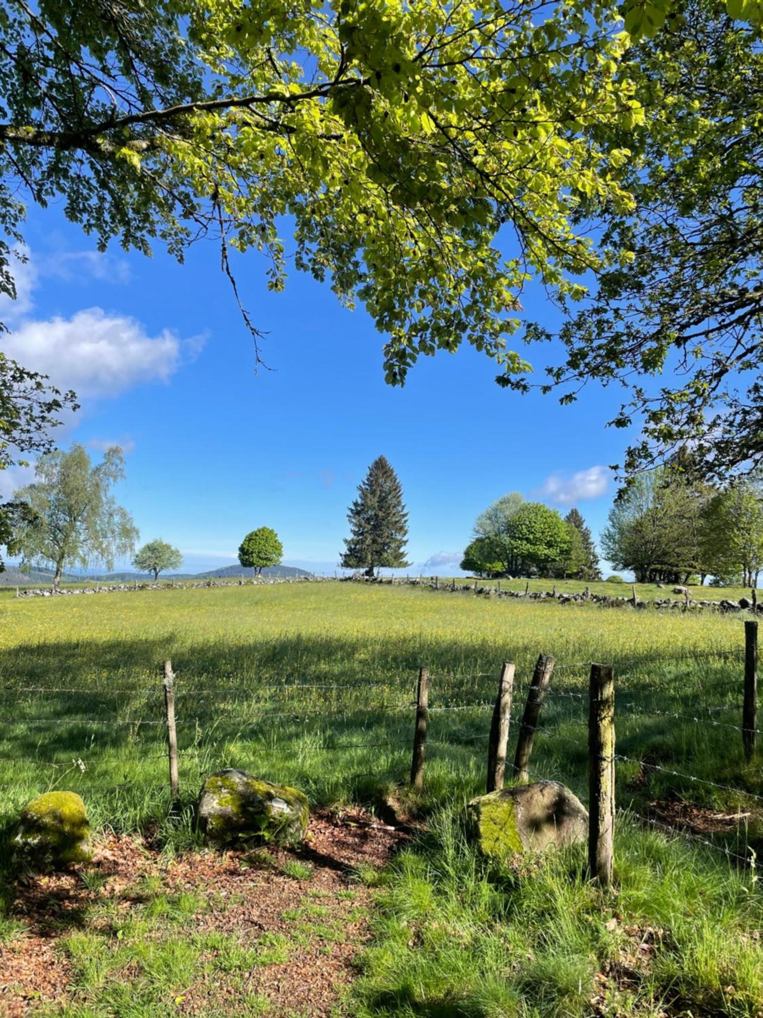 Le gîte cozy de Bouvacôte avec vue panoramique Le Tholy Extérieur photo