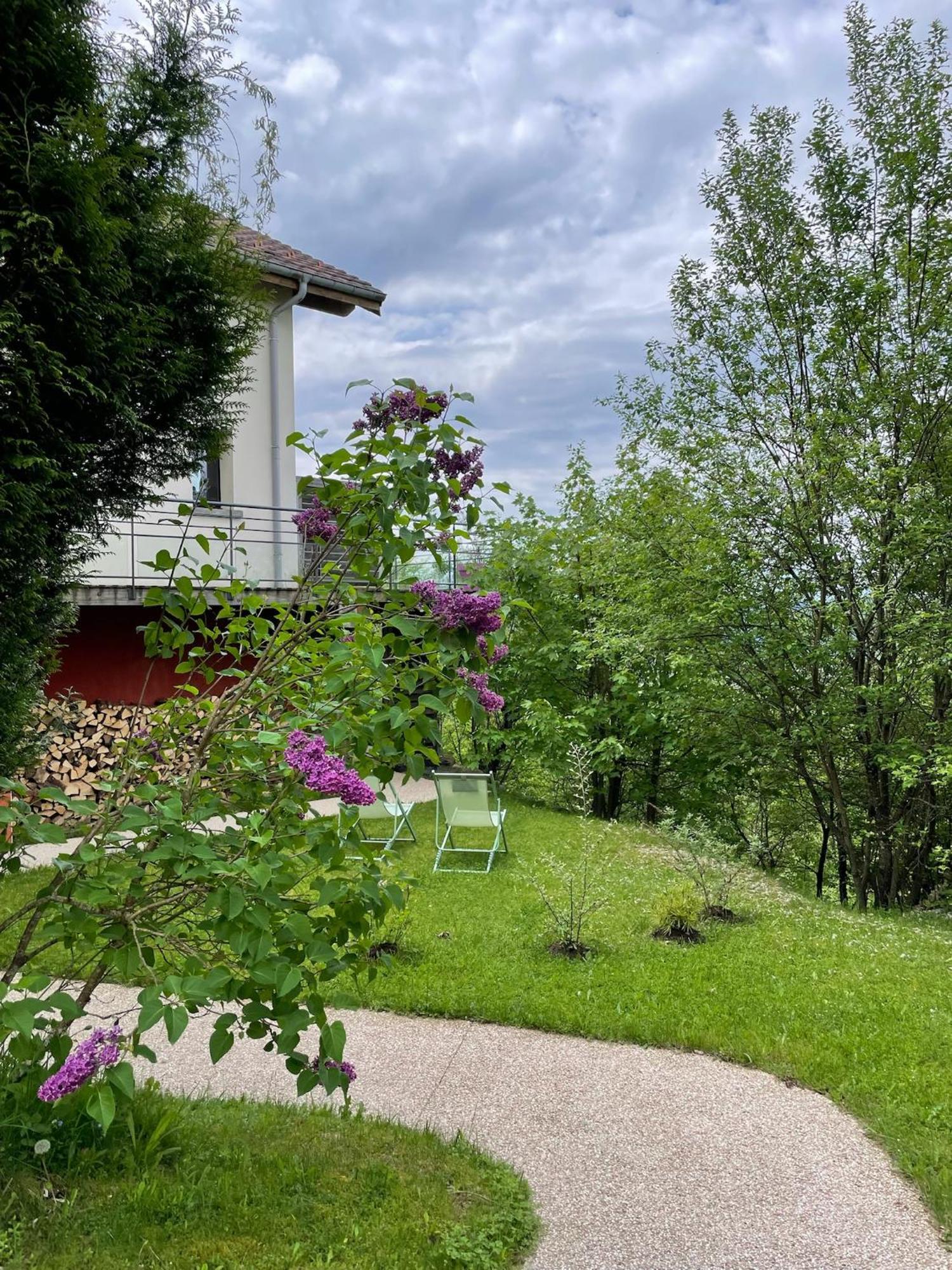 Le gîte cozy de Bouvacôte avec vue panoramique Le Tholy Extérieur photo